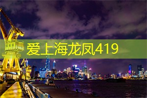 网络巨头云集上海论坛：打造数字化未来的舞台！
