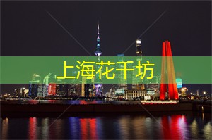 探索上海会所独特的文化艺术魅力